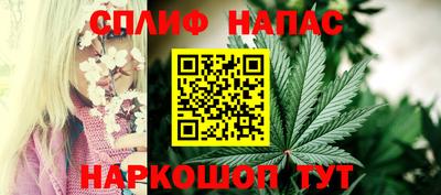 молекула духа Партизанск