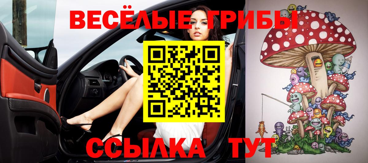 Псилоцибиновые грибы прущие грибы Татарск